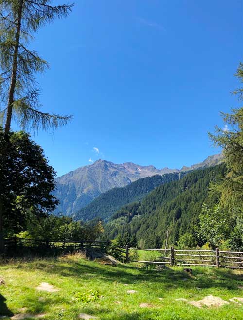 Leiteralm 1500m über Algund (Copyright: Erdkunde-online.de)