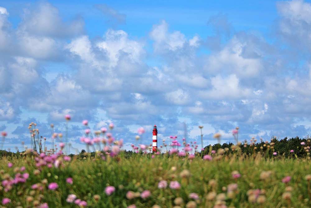 Insel Amrum mit Leuchtturm